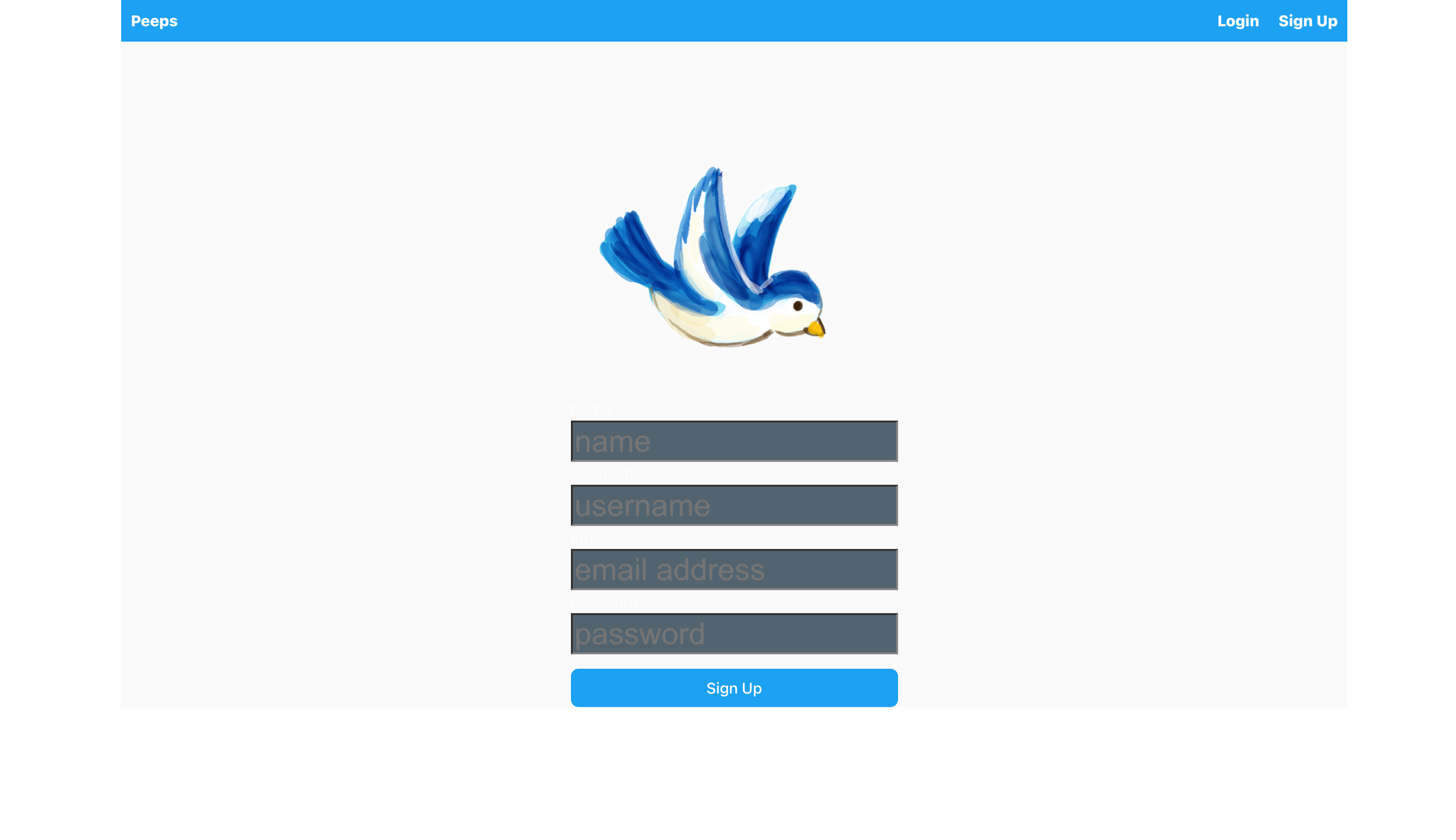 Chitter App Signup page